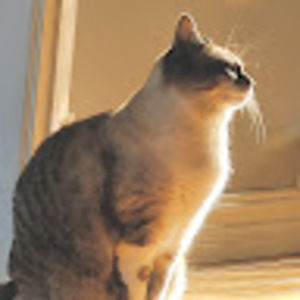 Meet your Posher, Amélie